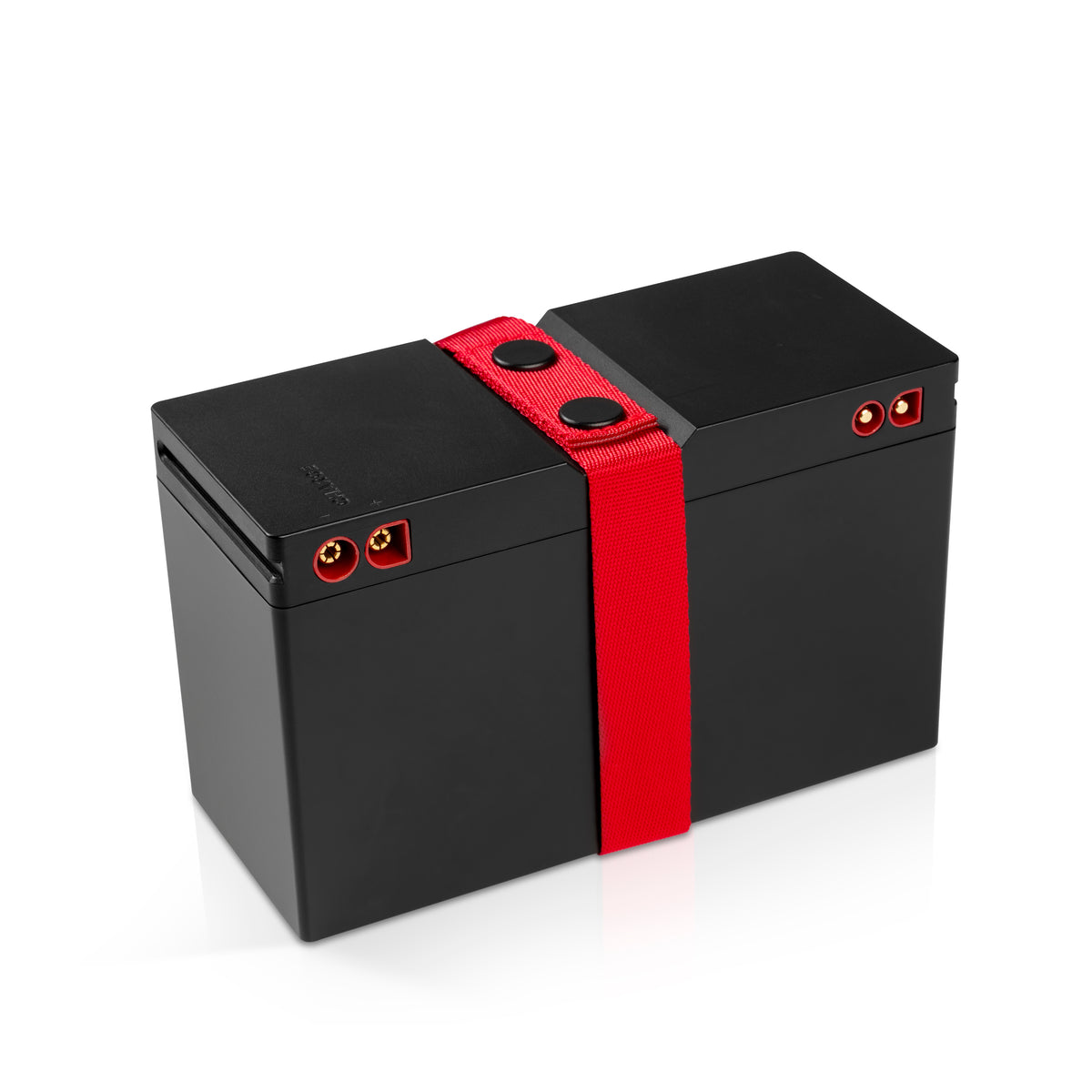 ROCKSTER NEO/Fender x Teufel ROCKSTER NEO Akku