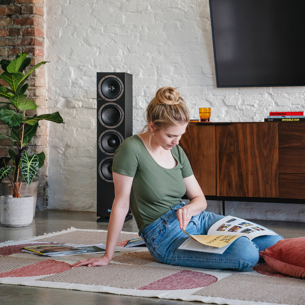 THEATER 500 + DENON DRA-900H + Pro-Ject Debut S Phono