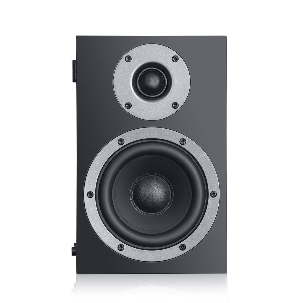 Theater 500 Surround Dipole