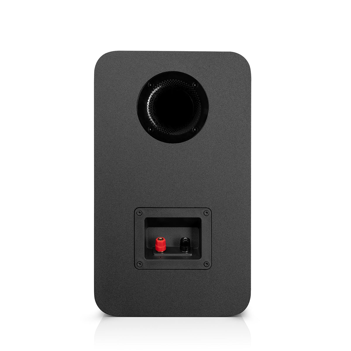 ULTIMA 25 AKTIV 2 + Pro-Ject A1.2