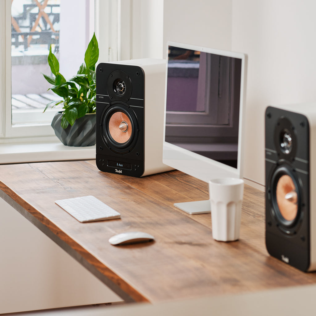 ULTIMA 25 AKTIV + Pro-Ject A1.2